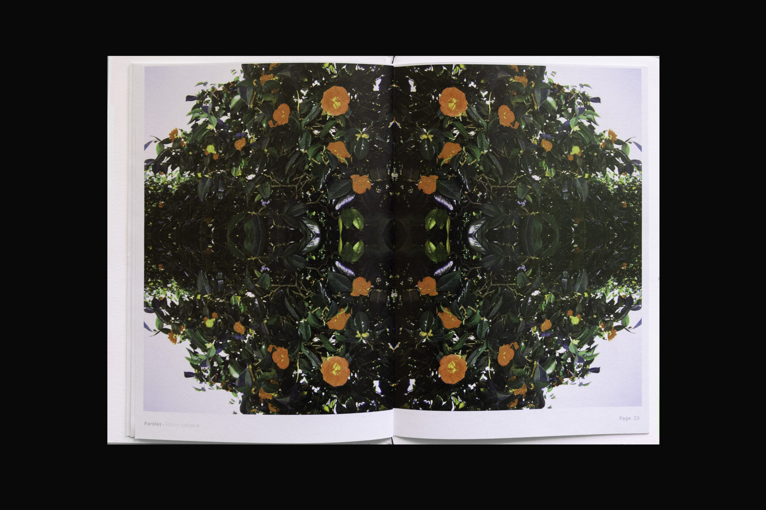 DSC_6456_0001_Groupe-11-3