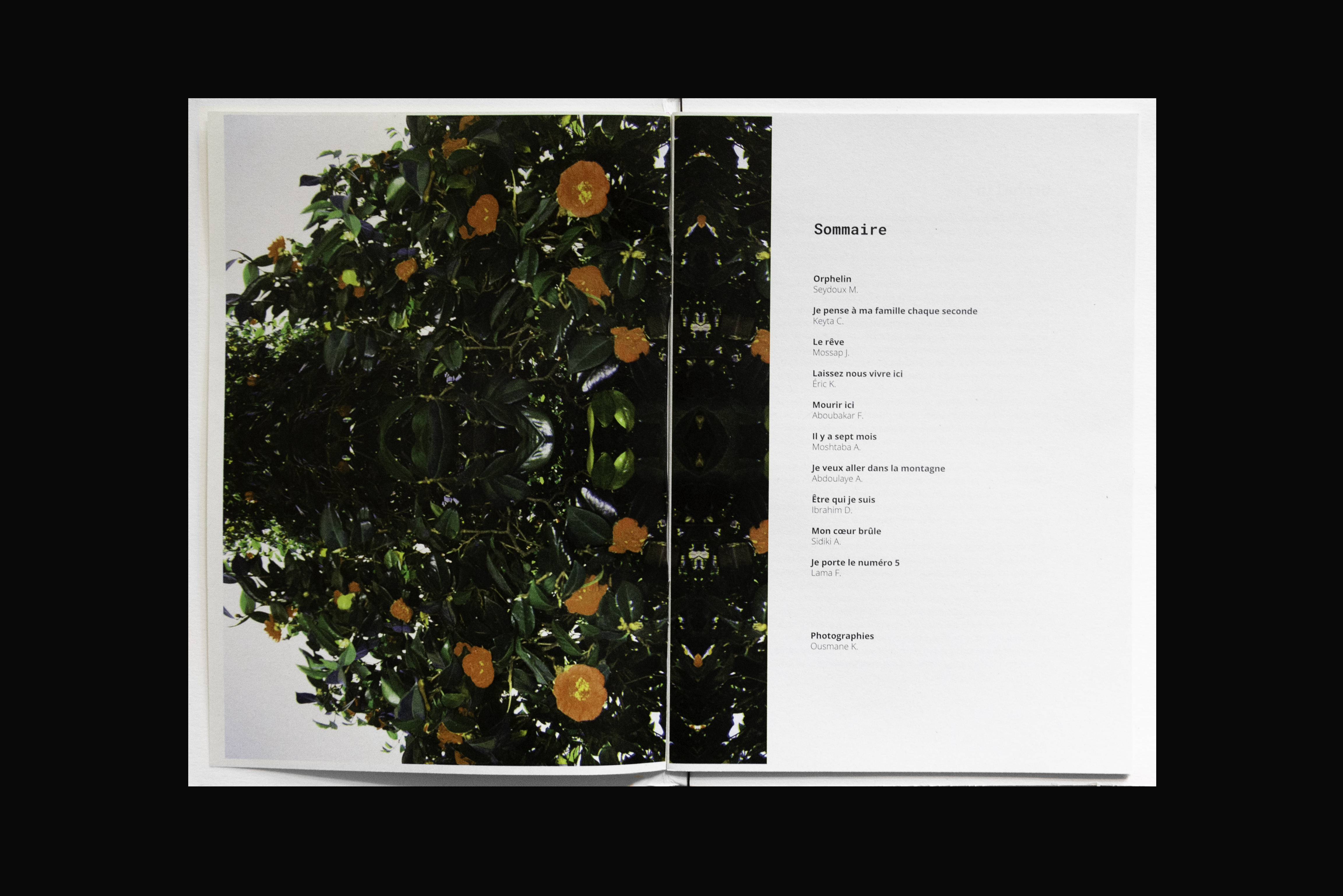 DSC_6456_0008_Groupe-4-1