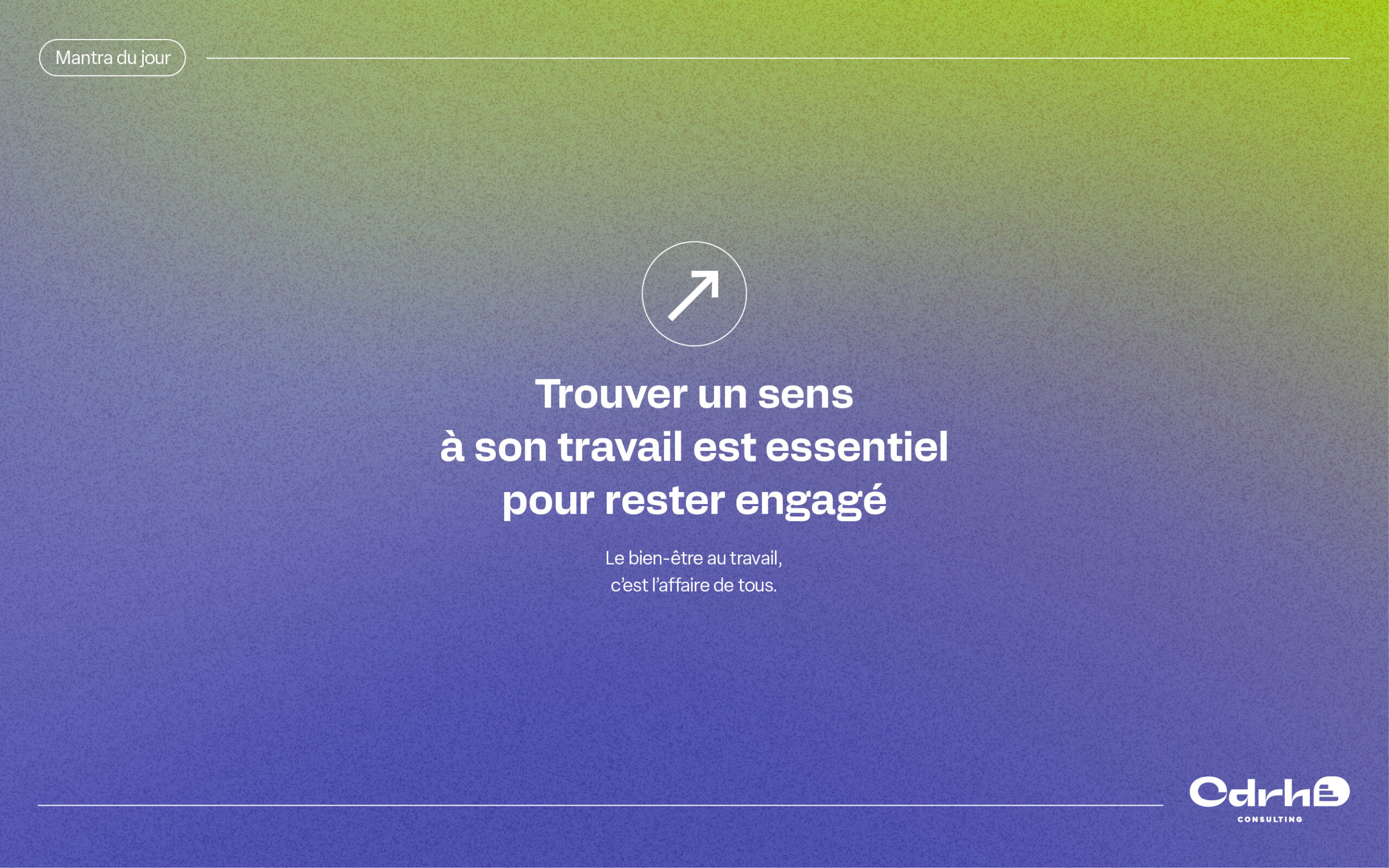 CDRH-Consulting-Design-System-Option-025